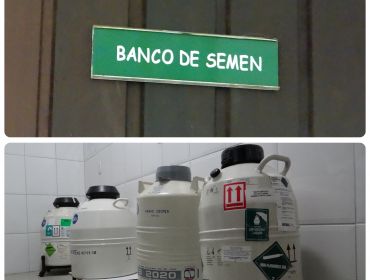 Banco de Semen