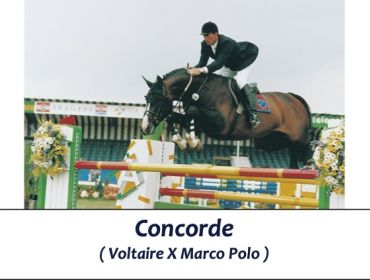 Concorde e Jos Lansink